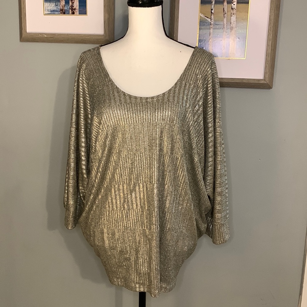 Silver and gold shimmery top